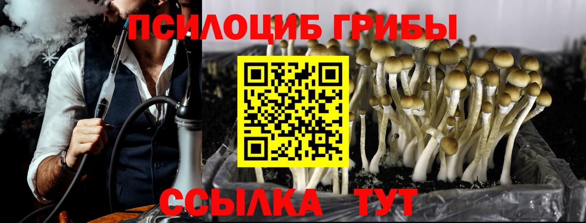 Псилоцибиновые грибы ЛСД Видное