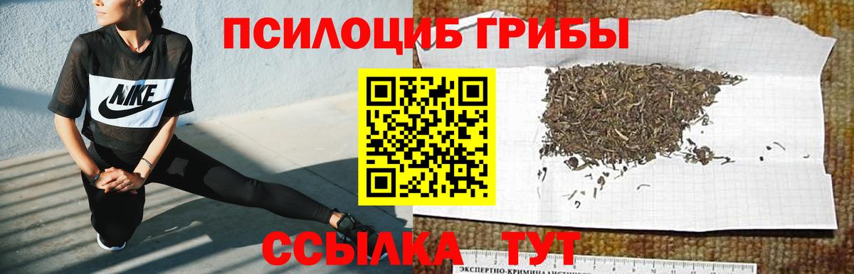 Псилоцибиновые грибы прущие грибы  Вход с VPN  Видное 